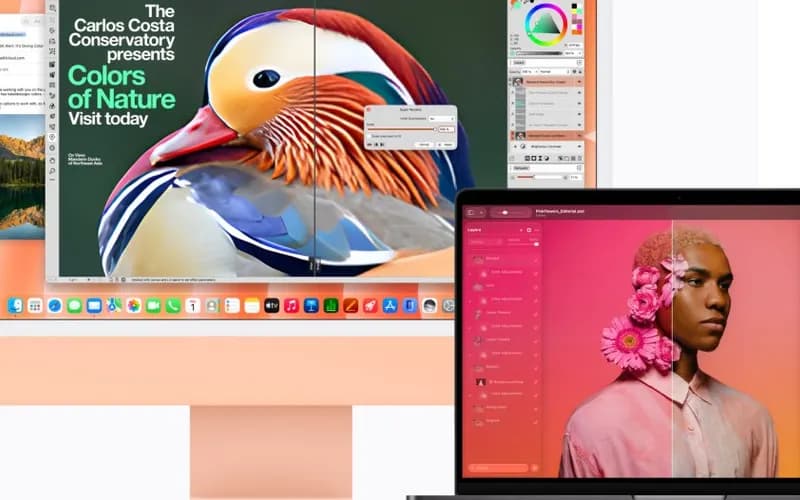 Turuncu bir iMac ve MacBook ekranlarında renkli bir ördek posteri ve çiçekli bir portre üzerinde fotoğraf düzenleme uygulamaları açık.