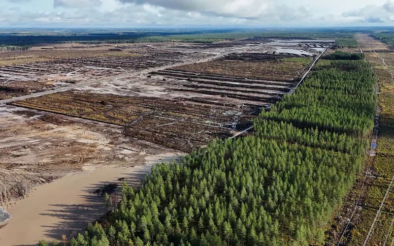 Aerial view of a vast cleared peat bog with excavated soil, bordered by a green pine forest
