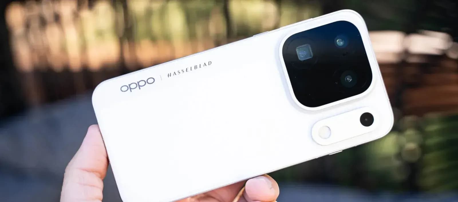 Beyaz bir Oppo telefonun Hasselblad yazılı arka yüzü ve kare kamera modülü, elde tutulurken bulanık doğa arka planında görünüyor